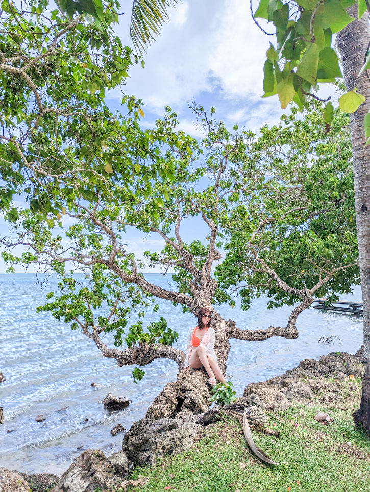 關島比基尼島Bikini Island Club水上活動一日遊，拍海上鞦韆美照、玩浮潛、看海豚，還有刺激的水上摩托車與香蕉船