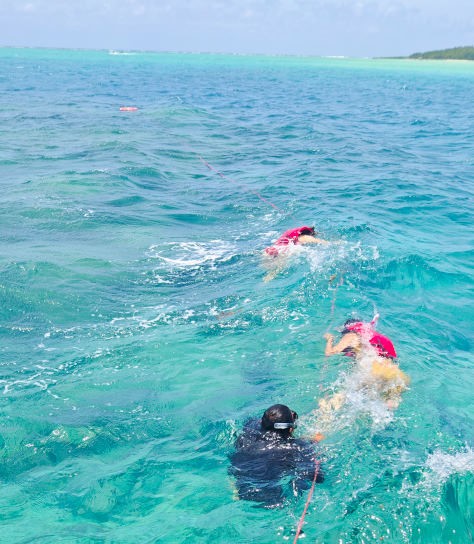 關島比基尼島Bikini Island Club水上活動一日遊，拍海上鞦韆美照、玩浮潛、看海豚，還有刺激的水上摩托車與香蕉船